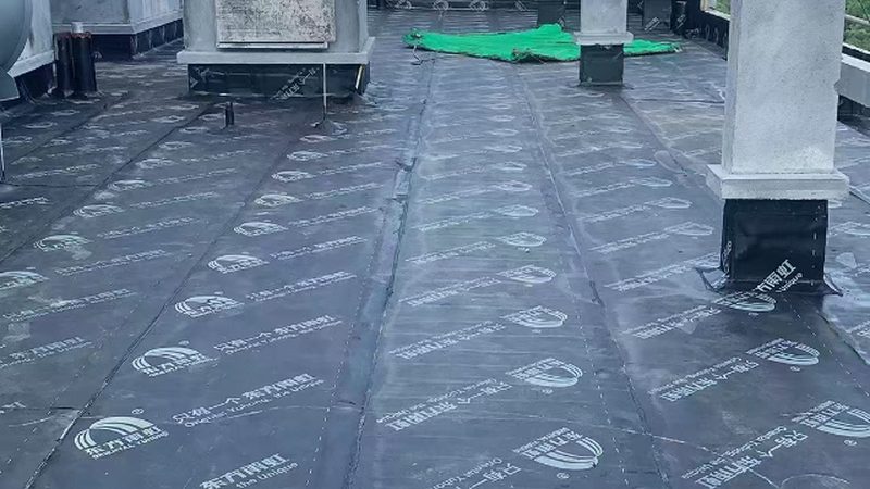 水性聚氨酯防水涂料：环保性能解析与选型要点